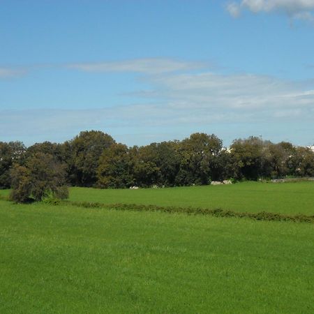 אוג'אנו לה קייזה Masseria Gattamora מראה חיצוני תמונה