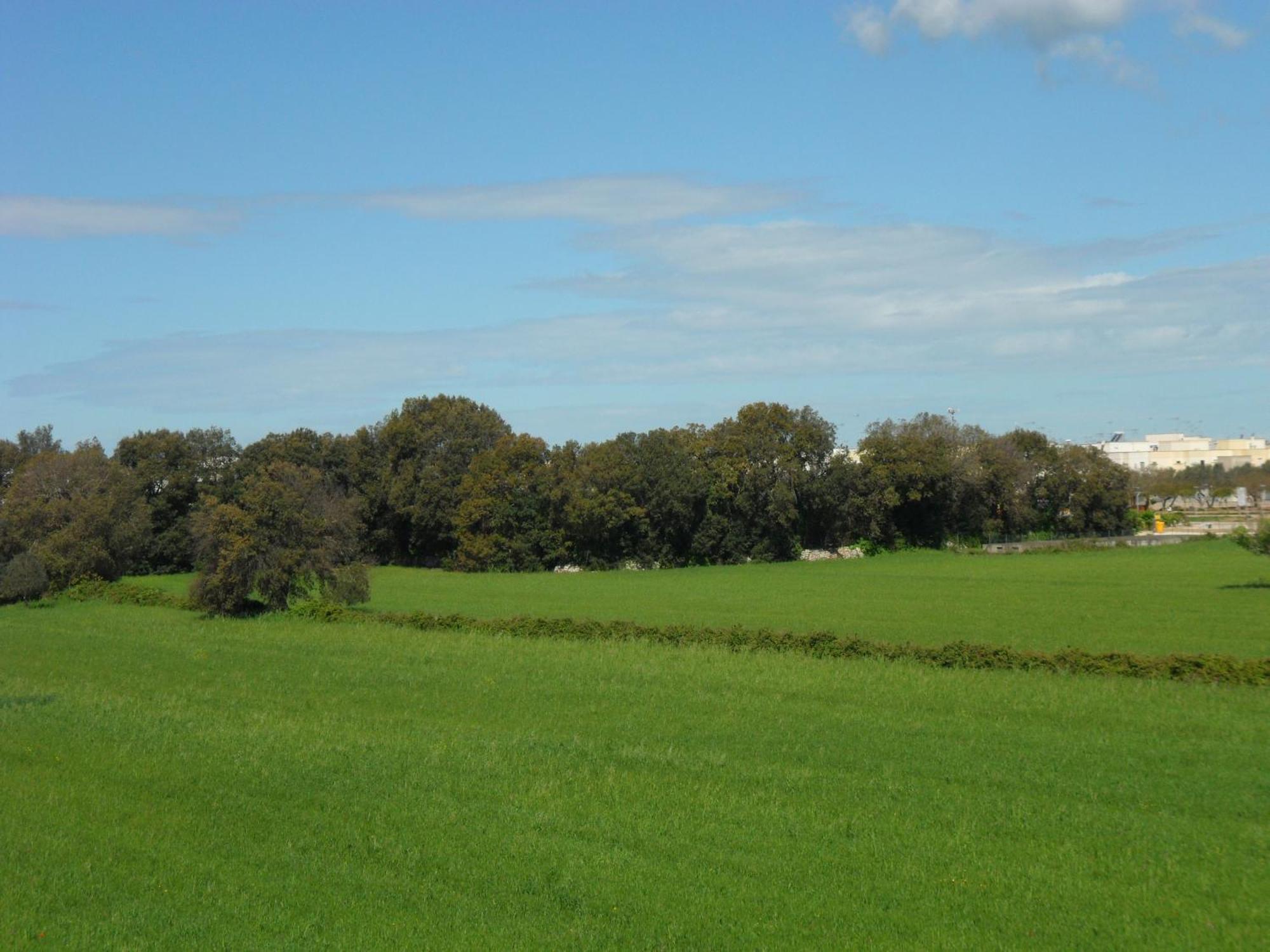 אוג'אנו לה קייזה Masseria Gattamora מראה חיצוני תמונה